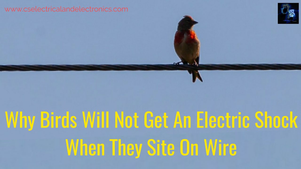 Why Birds Will Not Get An Electric Shock When They Site On Wire