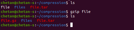 gzip file command in Linux
