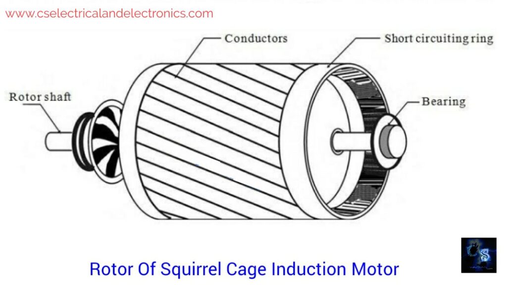 Squirrel cage induction motor