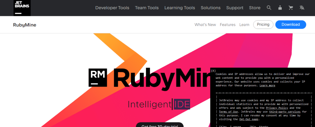 RubyMine